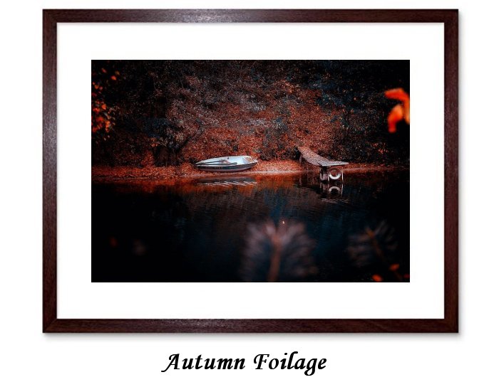 Autumn Foilage